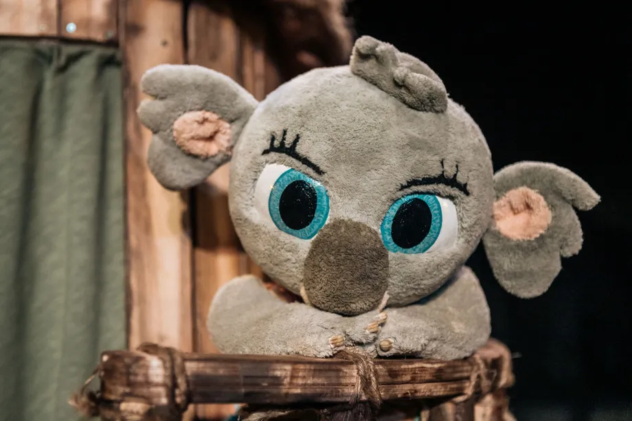 BUNJI, LA PETITA COALA BUNJI, LA PETITA COALA