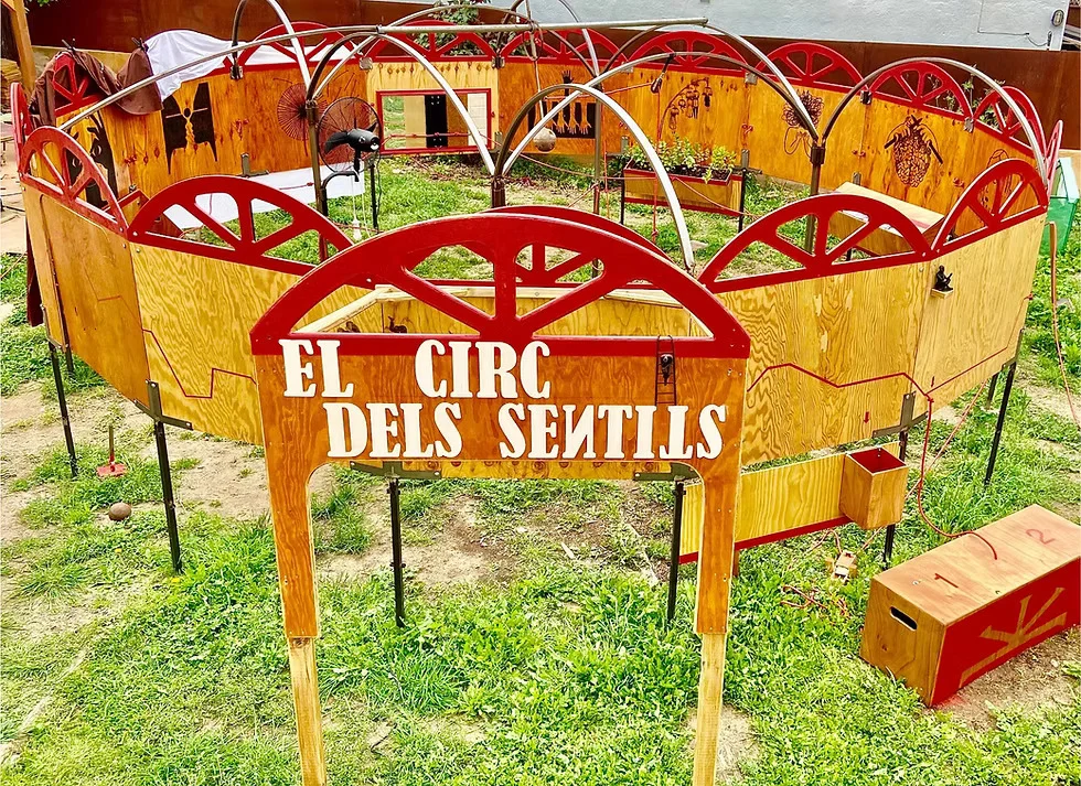 EL CIRC DELS SENTITS