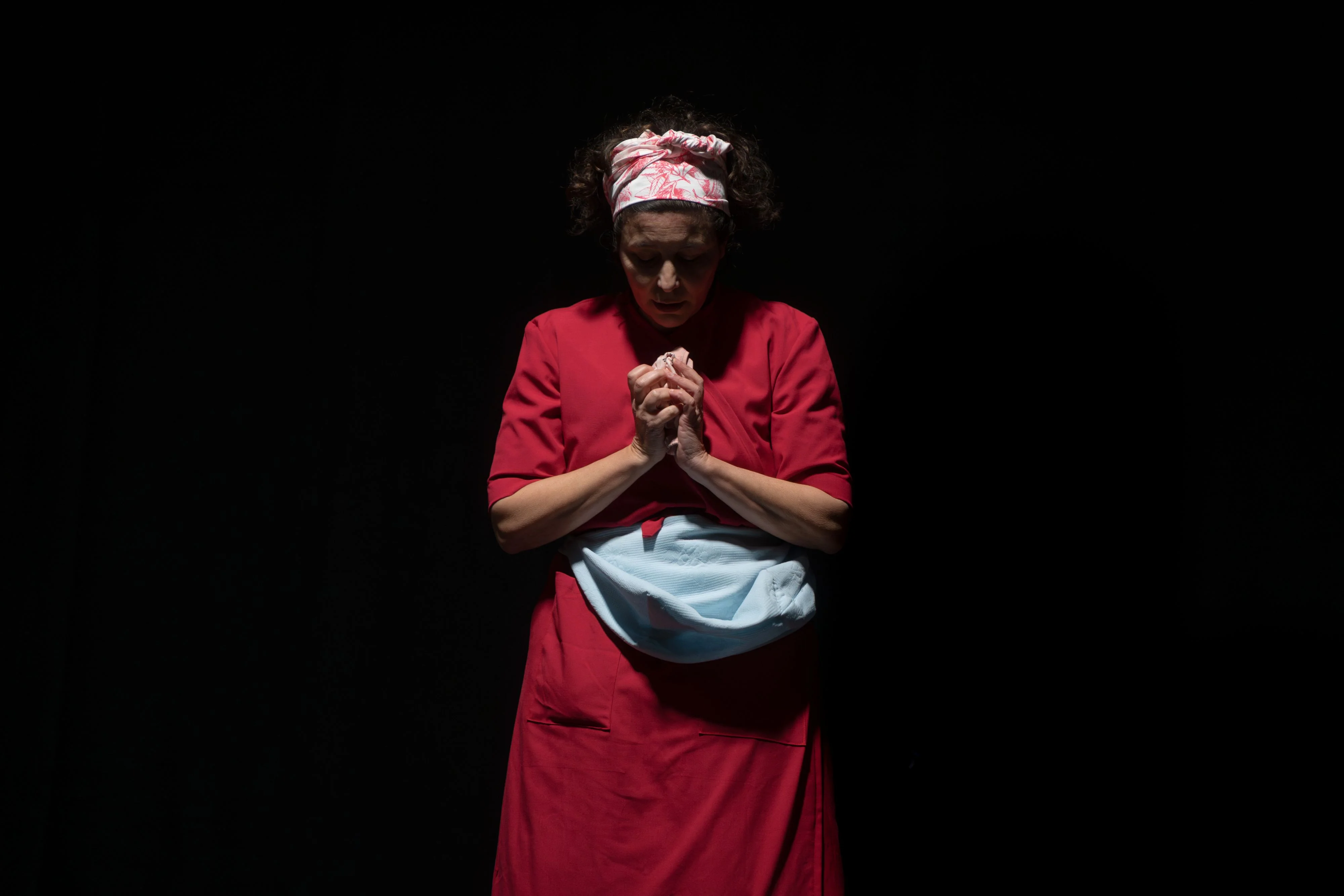 (H)OVO, RETAULE D’UNA DONA SENSE ÒVULS