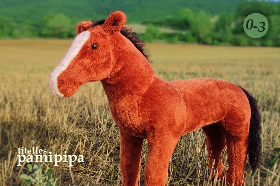 petit poni petit poni